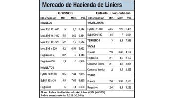 Leves alzas en Liniers