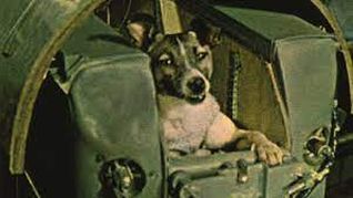 dia del perro: la perrita astronauta que quedo en la historia de la ciencia