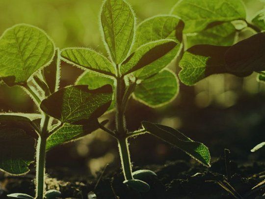 Bioceres: un comienzo auspicioso para el año fiscal 2023.