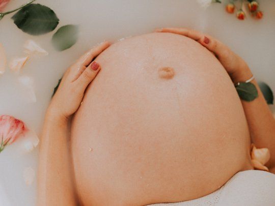 La importancia de la&nbsp;ley de fertilidad