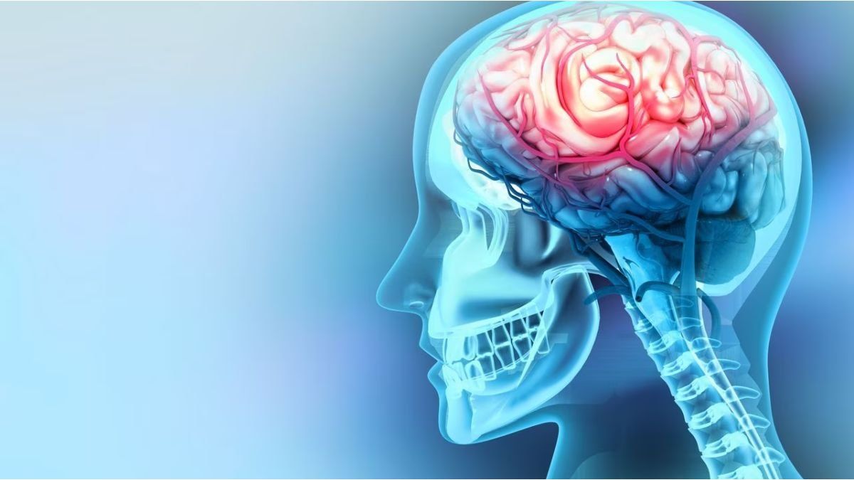 Personalized vaccine against the most lethal brain tumor advances