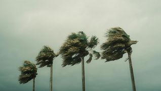 Empieza la temporada de huracanes y que lugares podría afectar.