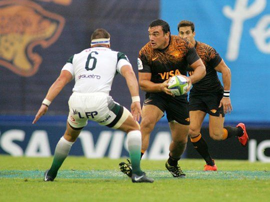 jaguares.jpg