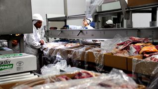 El sector frigorífico sigue sumando episodios a su crisis. 