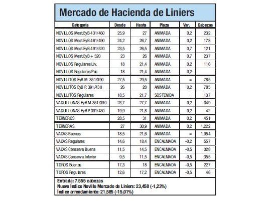 Mercado de Liniers: Novillo bajó 1,23%