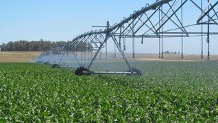 El sector agropecuario local no ocultó su malestar por la postergación de la firma del acuerdo Mercosur-UE y Rafael Normey habló de pérdida de tiempo. El sector agropecuario local no ocultó su malestar por la postergación de la firma del acuerdo Mercosur-UE y Rafael Normey habló de pérdida de tiempo.