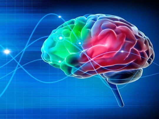 Cerebro y vitaminas.&nbsp;