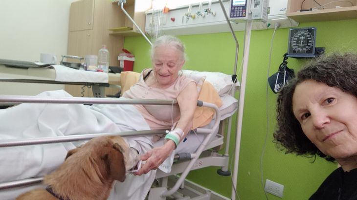 The connection between Ramallo and his family: a sample of the positive emotional impact of pet visits on medical contexts.