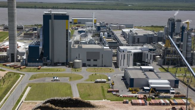 Organizaciones ambientales y vecinales de Gualeguaychú exigirán informes sobre el nuevo derrame de UPM Fray Bentos.