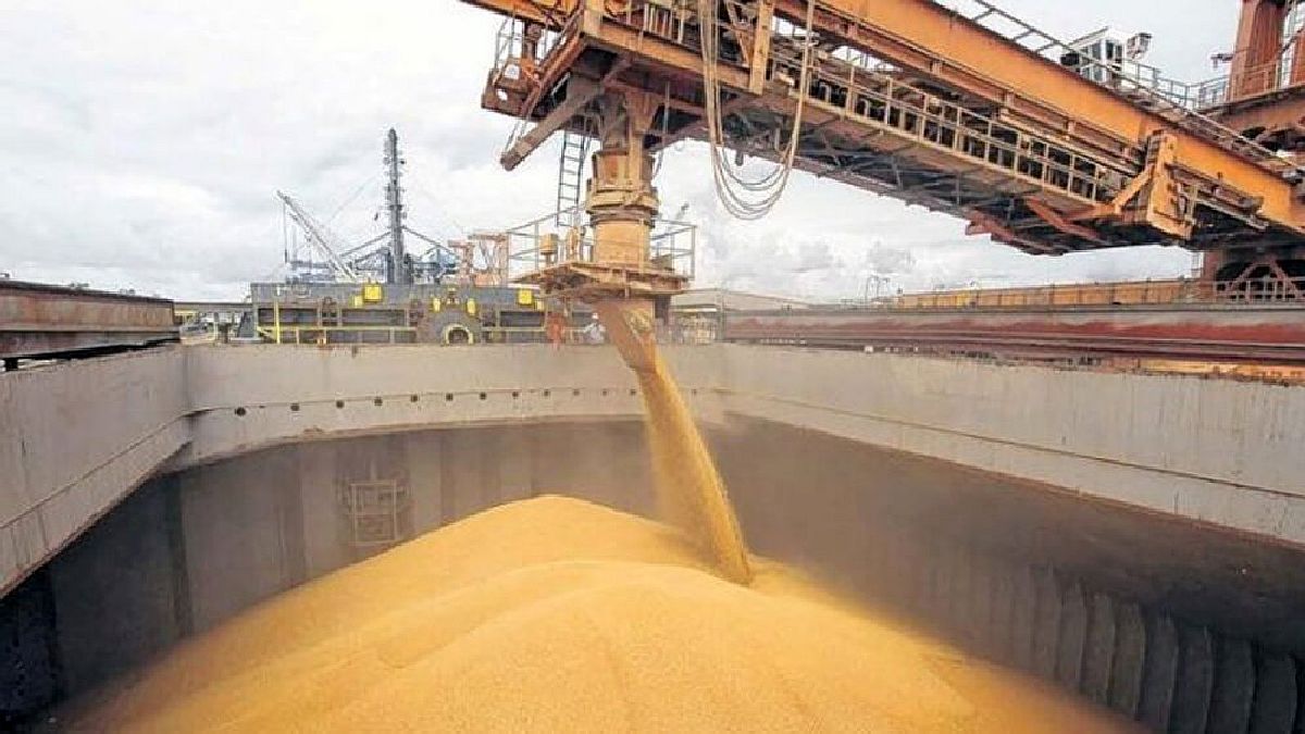 Comercio de granos: presentan proyecto para reducir la especulación