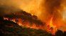 97% of the affected area corresponds to large forest fires that devastated wooded areas and protected ecosystems. 97% of the affected area corresponds to large forest fires that devastated wooded areas and protected ecosystems.