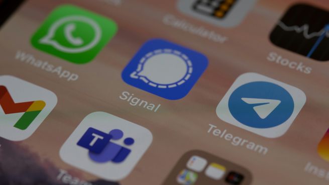 Un chatbot de Telegram enciende las alarmas.
