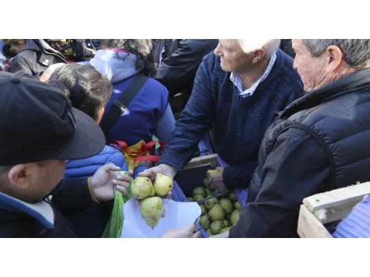 Productores frutícolas reclamaron ante ministros la intervención del Gobierno