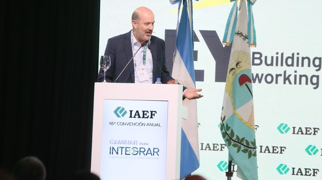 Federico Sturzenegger en IAEF.