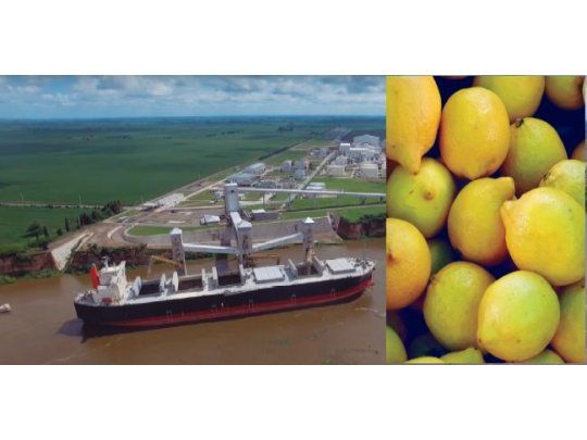 Un aprendizaje sobre las pautas de la integración