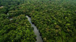 The preservation of the Amazon is a fundamental objective for the local and international community. The preservation of the Amazon is a fundamental objective for the local and international community.