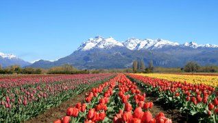 El sur argentino tiene varios lugares ideales para las vacaciones con amigos o en familia.