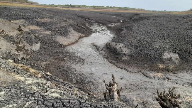 A pesar de las lluvias, las reservas de Paso Severino continúan en una situación crítica.