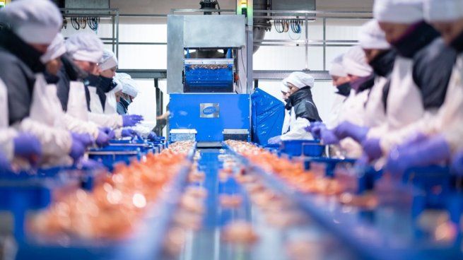 El empaquetado de alimentos es una de las actividades que cubre el gremio de Morillo.