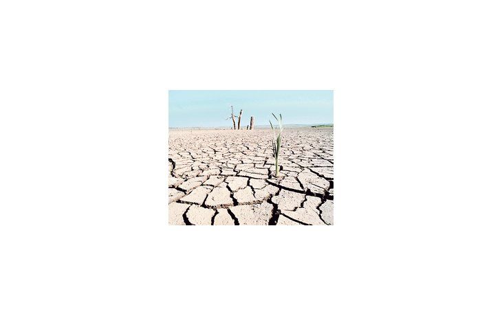 ámbito.com | La grave sequía que afectó los campos del este europeo obliga al Viejo Continente a importar soja y oleaginosas de América. En paralelo, China no para de crecer y quintuplica las compras de diez años atrás.