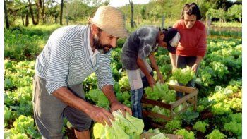 los trabajadores rurales podran gestionar una prestacion por desempleo a traves de whastapp