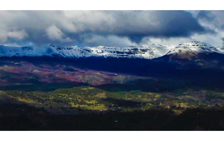 El gobierno de Neuquén aprobó la venta de 140 hectáreas a $ 8.000 cada una. Los vecinos se oponen y aseguran que se viola la Ley de Bosques.