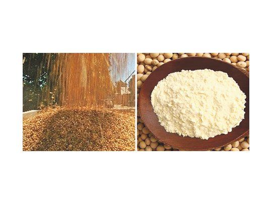 Las posiciones cercanas de harina de soja en el mercado de Chicago continúan muy firmes, registrando nuevos máximos del contrato para la posición de entrega en el mes de diciembre de este año.