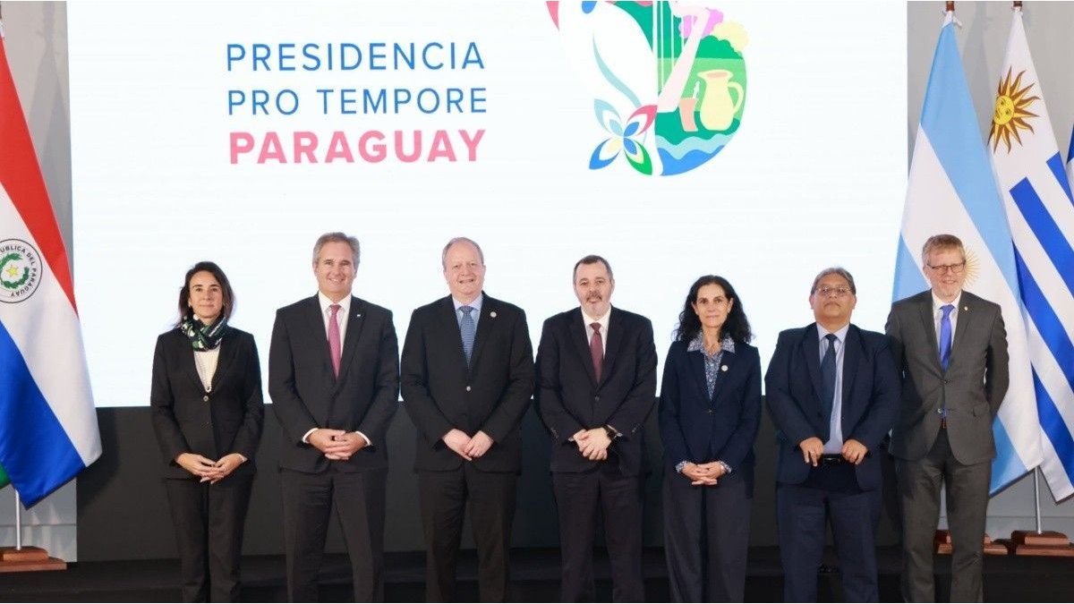 The Secretary of Finance explained Javier Milei’s economic plan to Mercosur