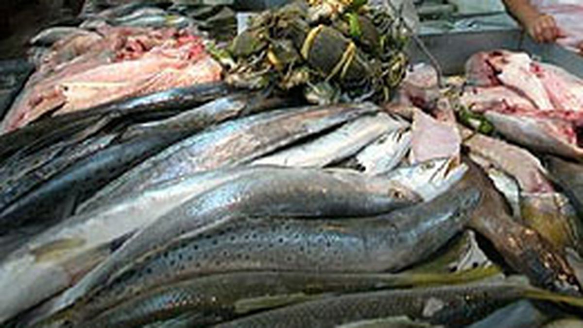 Fishing exports fell almost 7% in 9 months and the sector calls for a differential exchange rate