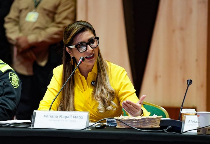 La gobernadora de Tolima, Adriana Magali Matiz, aseguró que existen indicios de que algunos incendios fueron provocados intencionalmente. La gobernadora de Tolima, Adriana Magali Matiz, aseguró que existen indicios de que algunos incendios fueron provocados intencionalmente.
