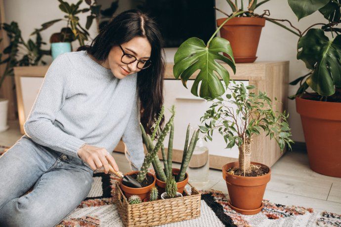 La polenta no solo sirve en la cocina, también tiene grandes efectos en las plantas. La polenta no solo sirve en la cocina, también tiene grandes efectos en las plantas.