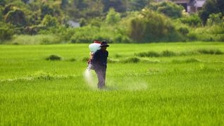 La orina ya se usa como fertilizante en Estados Unidos, Francia, Nepal o Ucrania.