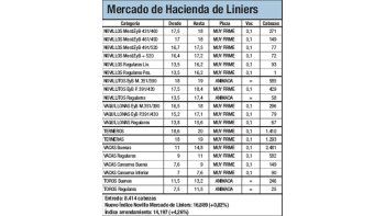 Mercado de Liniers: novillo subió 0,82%