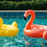 Todo lo que necesitás saber para divertir a los chicos este verano. Todo lo que necesitás saber para divertir a los chicos este verano.