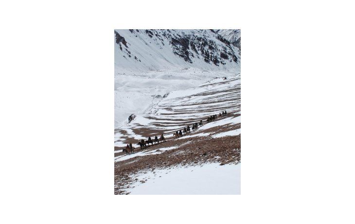 ámbito.com | El Espinacito, a 4.800 metros de altura, es el paso más extremo que tomó el Ejército de los Andes.