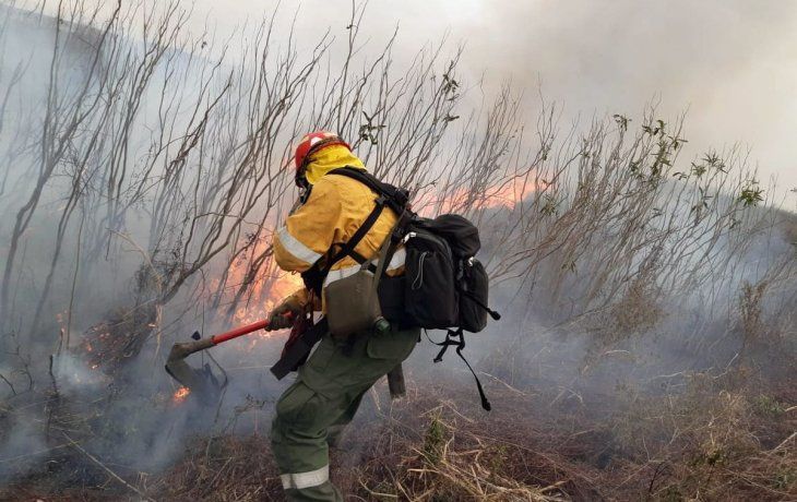 Incendios en el Delta del Río Paraná (zona de humedales).