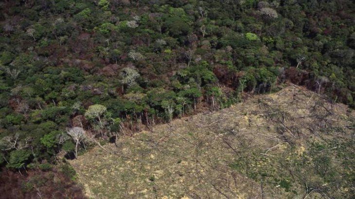 La deforestación de la Amazonia creció en la gestión Bolsonaro.