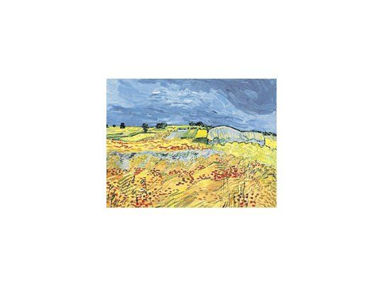 La última obra de Vincent Van Gogh no tuvo comprador en una reciente subasta, demostrando la suba desmedida del mercado de arte internacional; así y todo, el arte sigue siendo una buena inversión.