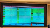 Argentina apoyó que la ONU investigue si hubo violaciones a los DDHH en la invasión de Rusia a Ucrania