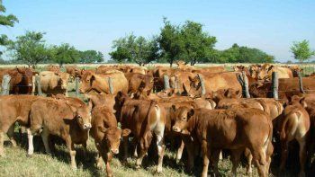 Uruguay es un destino de exportación de altísimo interés para los productores argentinos.