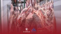 agrosurmax anuncio una oportunidad de inversion en exportacion de carne vacuna a eeuu