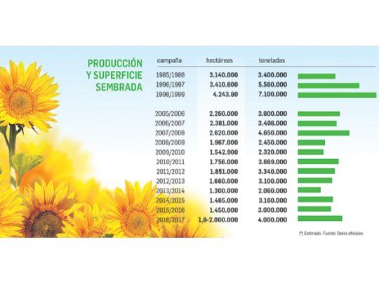 La revancha del girasol, el nuevo cultivo estrella