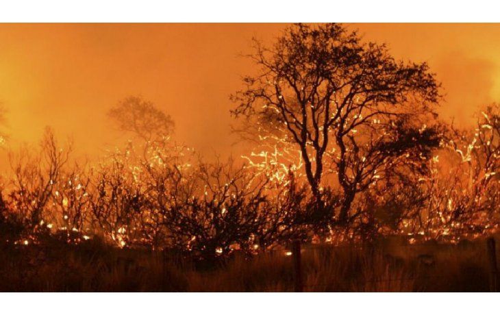 Incendios en La Pampa consumieron ya cerca de 800 mil hectáreas