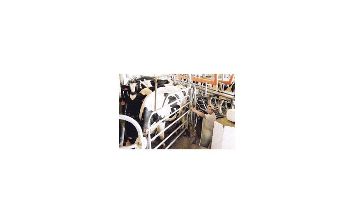 Christian Robert, director general de la Federación Internacional de la Leche, expuso ayer, invitado por la SAGPYA. Confirmó que hasta 2010 persistirá la volatilidad de precios de la leche, pero luego habrá aumentos.