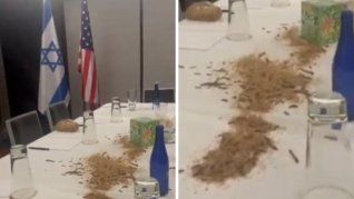Las imágenes muestran cómo los insectos se arrastran por el mantel blanco de la mesa, con las banderas de Israel y los Estados Unidos en el fondo.