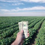 Los exportadores reclaman ajustes en costos, mejoras logísticas y certezas para atraer inversiones. Los exportadores reclaman ajustes en costos, mejoras logísticas y certezas para atraer inversiones.