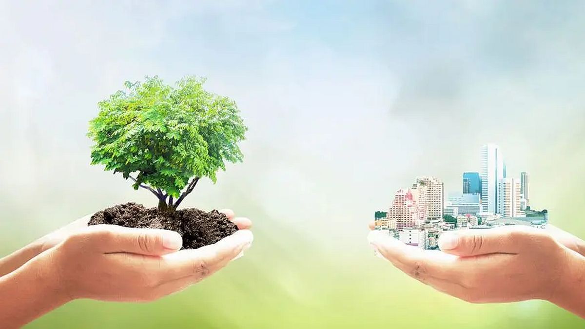 Healthy constructions: what real estate wellness is and why it is gaining followers