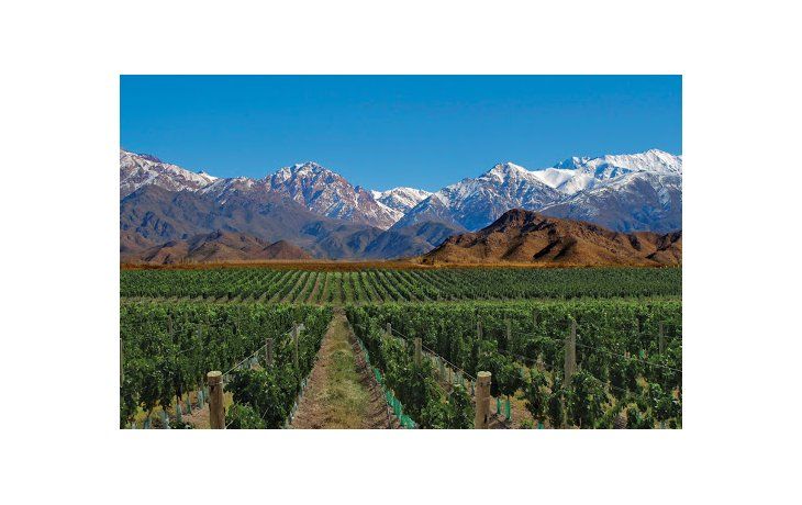 Vacaciones de invierno: piden que Mendoza se abra al turismo nacional