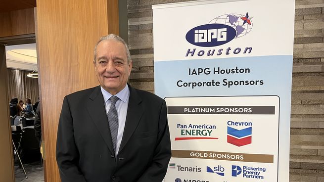 El presidente del IAPG, Ernesto López Anadón.