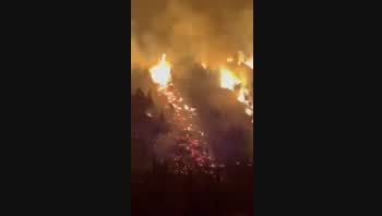 incendios forestales en chile: 24 muertos y evacuados por las llamas